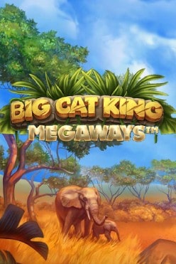 big cat king
