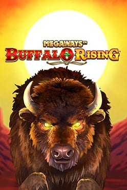 buffalo rising megaways