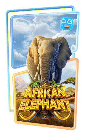 African Elephant